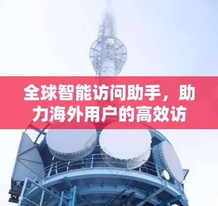 全球智能访问助手，助力海外用户的高效访问