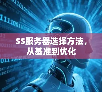 SS服务器选择方法,从基准到优化