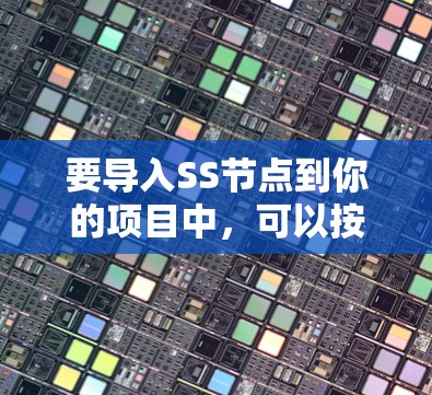 要导入SS节点到你的项目中，可以按照以下步骤进行