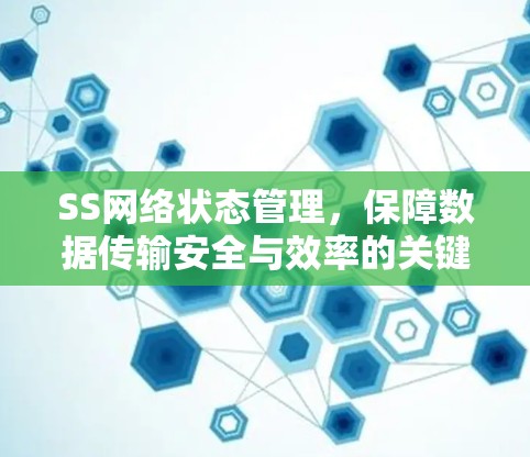 SS网络状态管理,保障数据传输安全与效率的关键
