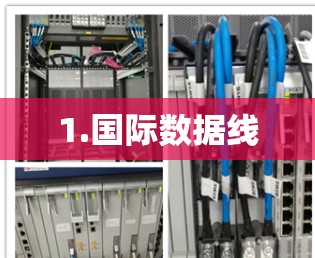 1.国际数据线