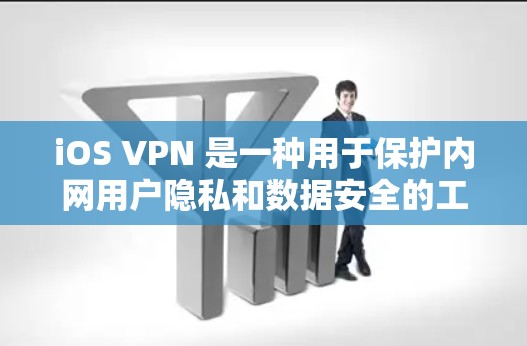 iOS VPN 是一种用于保护内网用户隐私和数据安全的工具,通过加密数据传输来阻止外部来源网络流量进入 iOS 设备。以下是对 iOS VPN 节点连接的详细解答