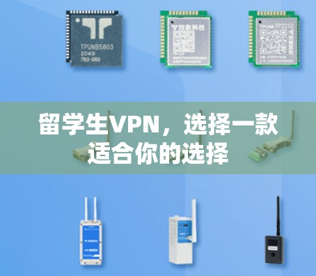 留学生VPN，选择一款适合你的选择