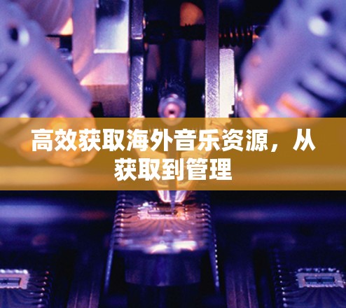 高效获取海外音乐资源,从获取到管理