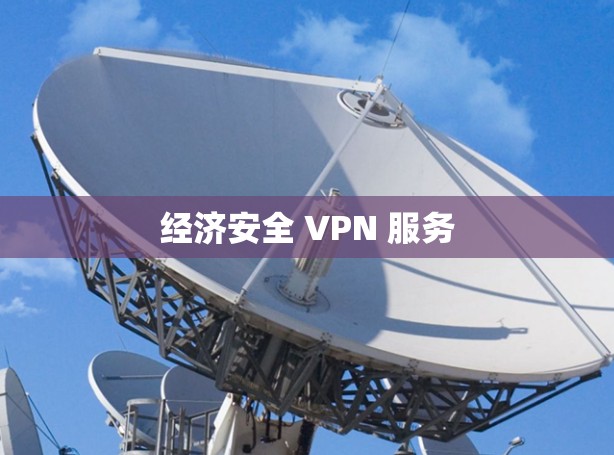 经济安全 VPN 服务