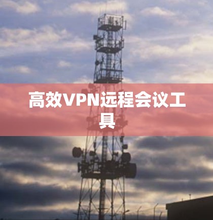 高效VPN远程会议工具 高效VPN远程会议工具