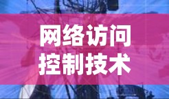 网络访问控制技术，守护数字经济的未来