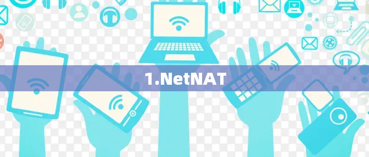 1.NetNAT