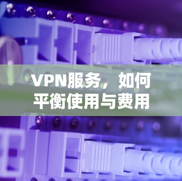 VPN服务,如何平衡使用与费用