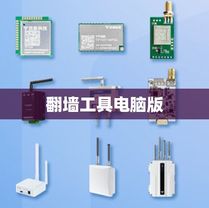 翻墙工具电脑版