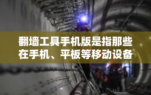 翻墙工具手机版是指那些在手机、平板等移动设备上能够方便快速访问和翻转链接的工具。以下是一些常见的翻墙工具及其特点 翻墙工具手机版是指那些在手机、平板等移动设备上能够方便快速访问和翻转链接的工具。以下是一些常见的翻墙工具及其特点
