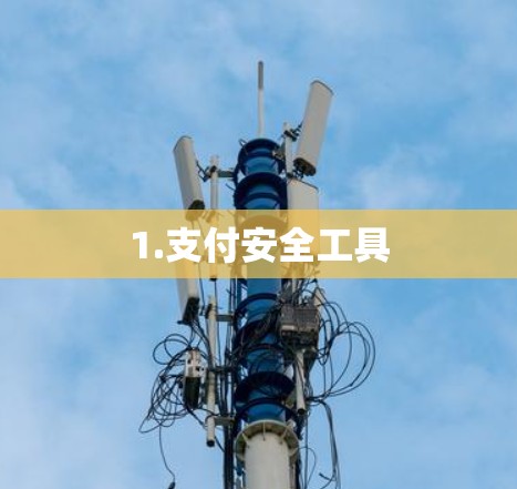 1.支付安全工具