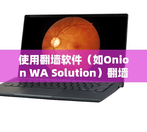 使用翻墙软件(如Onion WA Solution)翻墙的过程可以分为以下几个步骤
