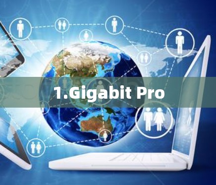 1.Gigabit Pro