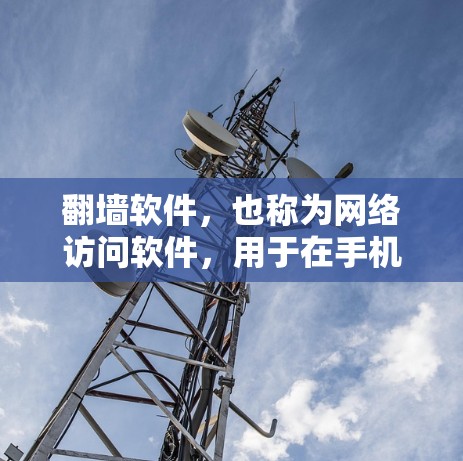 翻墙软件,也称为网络访问软件,用于在手机端访问外部网络,如VPN、HTTP、HTTPS等服务。以下是一些常见的翻墙软件及其特点