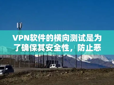 VPN软件的横向测试是为了确保其安全性,防止恶意软件利用或数据丢失。以下是逐步的指导步骤