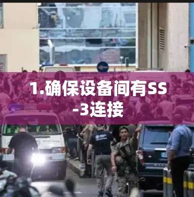 1.确保设备间有SS-3连接 1.确保设备间有SS-3连接