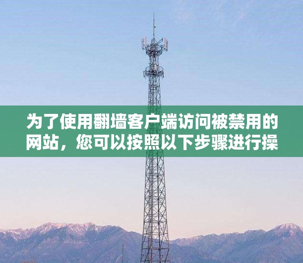 为了使用翻墙客户端访问被禁用的网站,您可以按照以下步骤进行操作