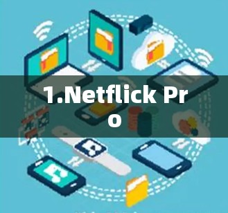 1.Netflick Pro