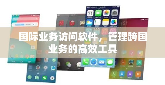 国际业务访问软件,管理跨国业务的高效工具 国际业务访问软件,管理跨国业务的高效工具