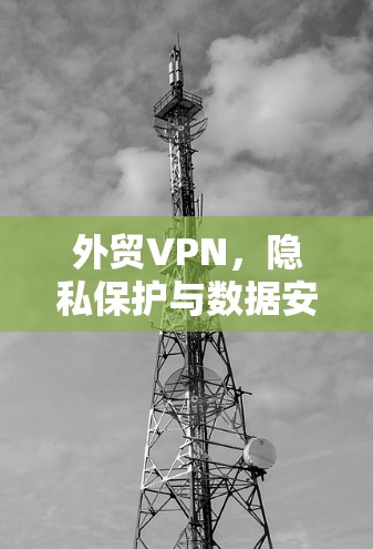 外贸VPN,隐私保护与数据安全的双刃剑 外贸VPN,隐私保护与数据安全的双刃剑