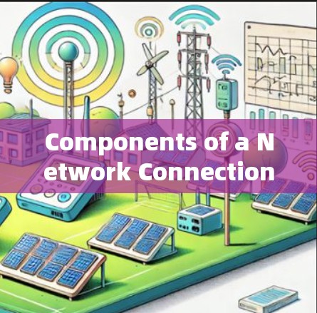 Components of a Network Connection Management System