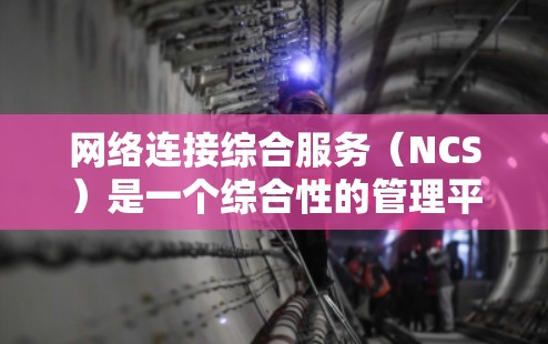 网络连接综合服务（NCS）是一个综合性的管理平台，旨在优化和维护网络连接的效率和安全。以下是对NCS的详细总结