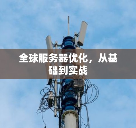 全球服务器优化,从基础到实战