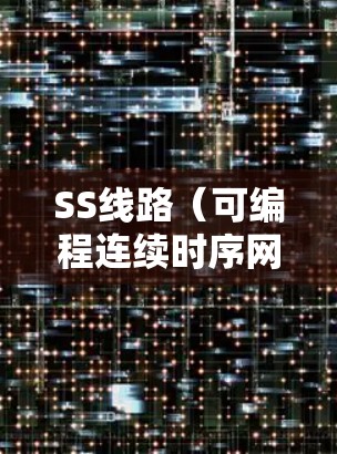 SS线路（可编程连续时序网络）的速度分析可以从以下几个方面进行