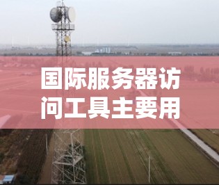 国际服务器访问工具主要用于管理在不同国家或地区的服务器，允许从多个服务器上运行同一应用，从而访问到国际服务器。以下是一些常用的国际服务器访问工具及其使用方法