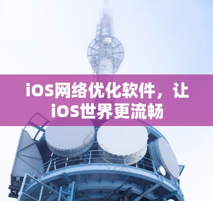 iOS网络优化软件,让iOS世界更流畅