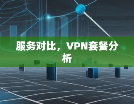 服务对比,VPN套餐分析
