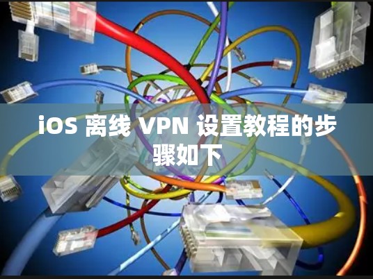 iOS 离线 VPN 设置教程的步骤如下