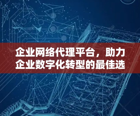 企业网络代理平台,助力企业数字化转型的最佳选择