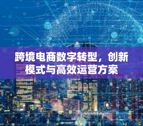 跨境电商数字转型,创新模式与高效运营方案