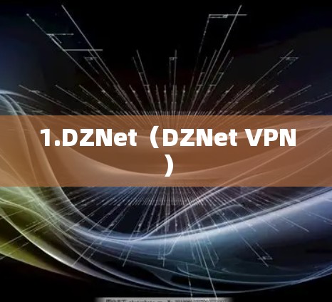 1.DZNet（DZNet VPN）