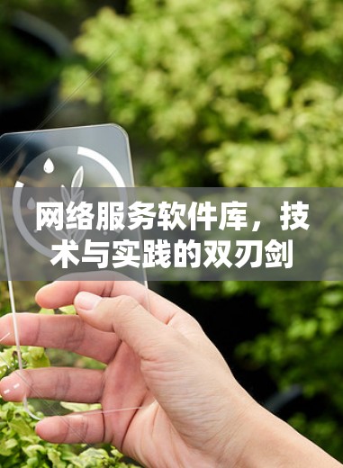 网络服务软件库,技术与实践的双刃剑