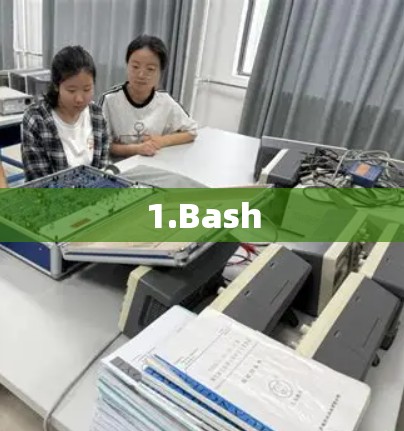 1.Bash 1.Bash
