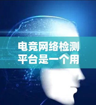 电竞网络检测平台是一个用于分析电竞比赛网络结构和行为的工具,旨在通过数据检测和评估队伍、选手和观众的行为。以下是关于电竞网络检测平台的详细总结