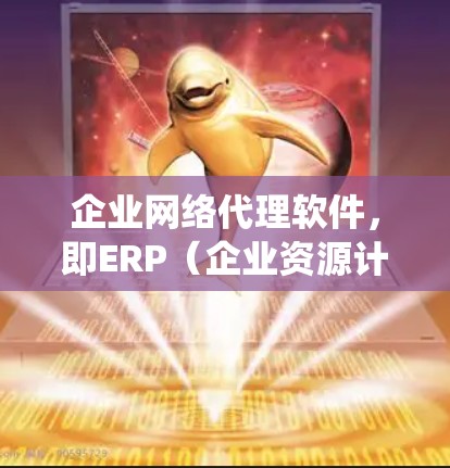 企业网络代理软件，即ERP（企业资源计划）系统，是一种用于管理企业资源和数据的软件工具，广泛应用于制造业、零售业、金融服务业等领域。以下是对ERP系统的详细分析