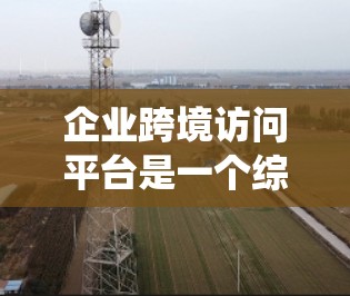 企业跨境访问平台是一个综合性的系统，旨在管理与国际合作伙伴、客户或客户关系相关的访问和数据访问。以下是该平台的详细分析