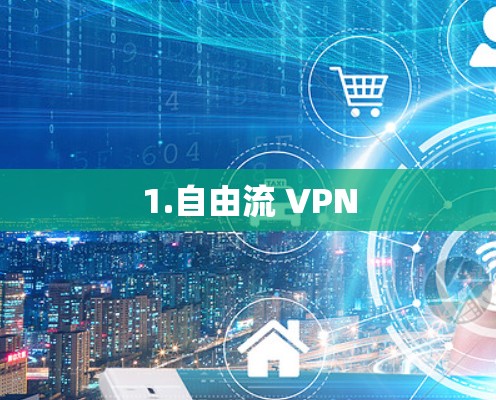1.自由流 VPN