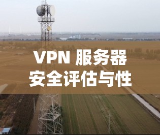 VPN 服务器安全评估与性能优化
