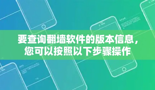 要查询翻墙软件的版本信息,您可以按照以下步骤操作