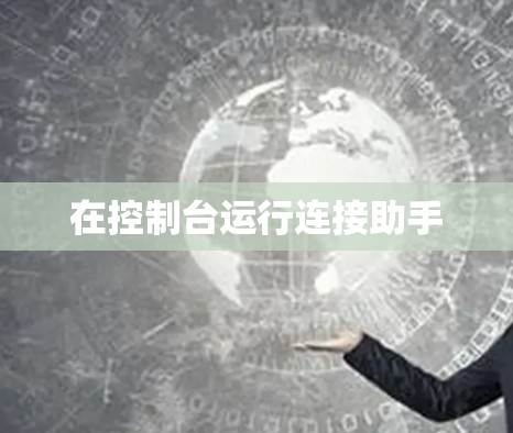 在控制台运行连接助手