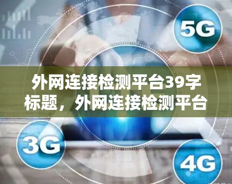 外网连接检测平台39字标题,外网连接检测平台