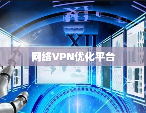 网络VPN优化平台