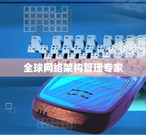 全球网络架构管理专家 全球网络架构管理专家
