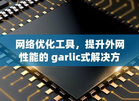 网络优化工具,提升外网性能的 garlic式解决方案
