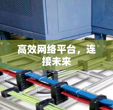 高效网络平台,连接未来